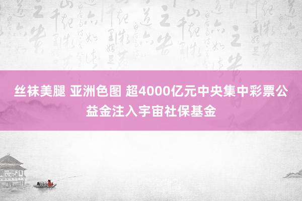 丝袜美腿 亚洲色图 超4000亿元中央集中彩票公益金注入宇宙社保基金