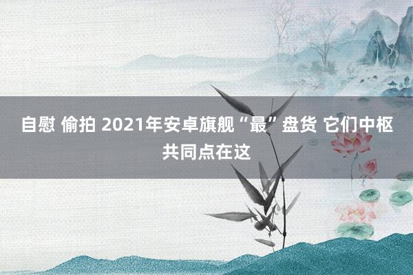 自慰 偷拍 2021年安卓旗舰“最”盘货 它们中枢共同点在这