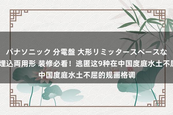 パナソニック 分電盤 大形リミッタースペースなし 露出・半埋込両用形 装修必看！逃匿这9种在中国度庭水土不屈的规画格调