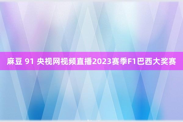 麻豆 91 央视网视频直播2023赛季F1巴西大奖赛