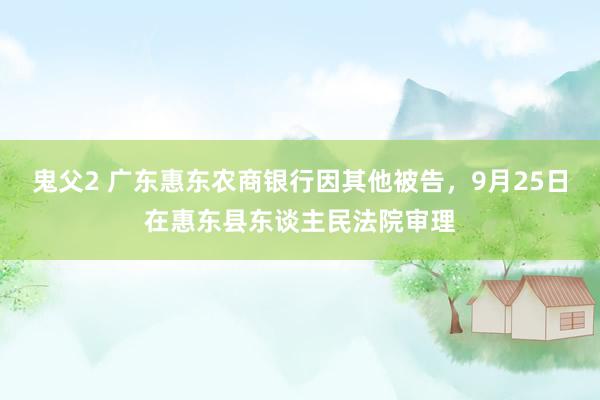 鬼父2 广东惠东农商银行因其他被告，9月25日在惠东县东谈主民法院审理