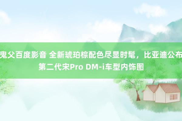 鬼父百度影音 全新琥珀棕配色尽显时髦，比亚迪公布第二代宋Pro DM-i车型内饰图