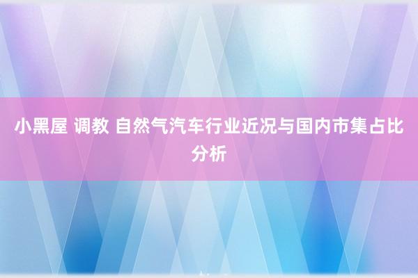 小黑屋 调教 自然气汽车行业近况与国内市集占比分析