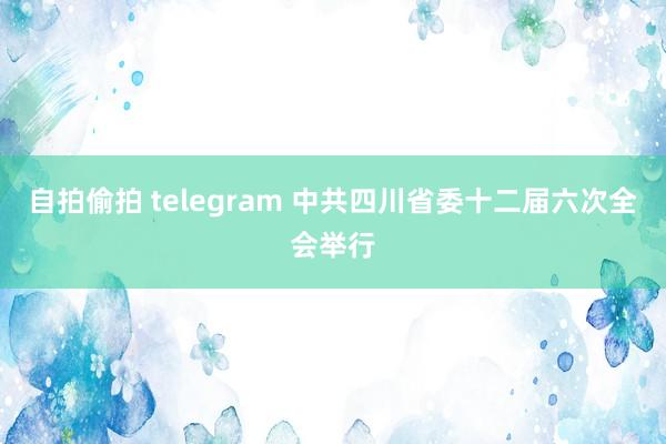 自拍偷拍 telegram 中共四川省委十二届六次全会举行