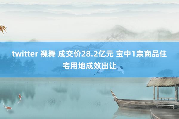 twitter 裸舞 成交价28.2亿元 宝中1宗商品住宅用地成效出让