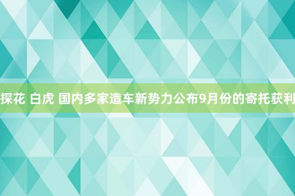 探花 白虎 国内多家造车新势力公布9月份的寄托获利