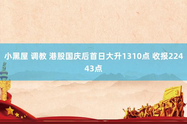 小黑屋 调教 港股国庆后首日大升1310点 收报22443点