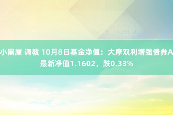 小黑屋 调教 10月8日基金净值：大摩双利增强债券A最新净值1.1602，跌0.33%