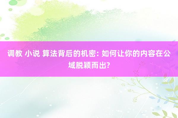 调教 小说 算法背后的机密: 如何让你的内容在公域脱颖而出?