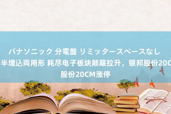 パナソニック 分電盤 リミッタースペースなし 露出・半埋込両用形 耗尽电子板块颠簸拉升，银邦股份20CM涨停