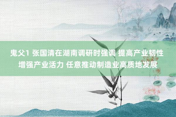 鬼父1 张国清在湖南调研时强调 提高产业韧性 增强产业活力 任意推动制造业高质地发展