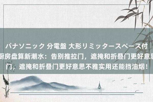 パナソニック 分電盤 大形リミッタースペース付 露出・半埋込両用形 厨房盘算新潮水：告别推拉门，遮掩和折叠门更好意思不雅实用还能挡油烟！