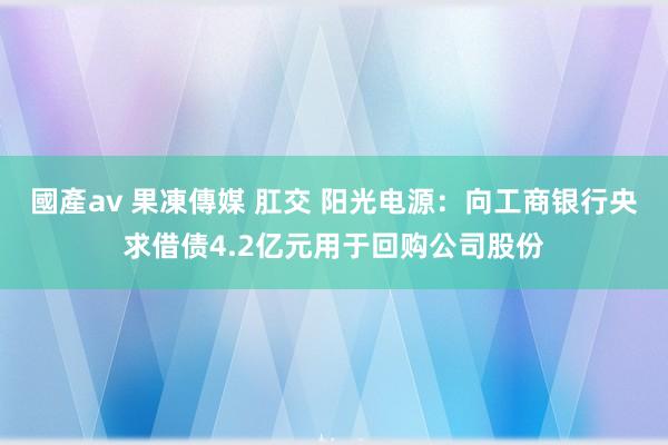 國產av 果凍傳媒 肛交 阳光电源：向工商银行央求借债4.2亿元用于回购公司股份