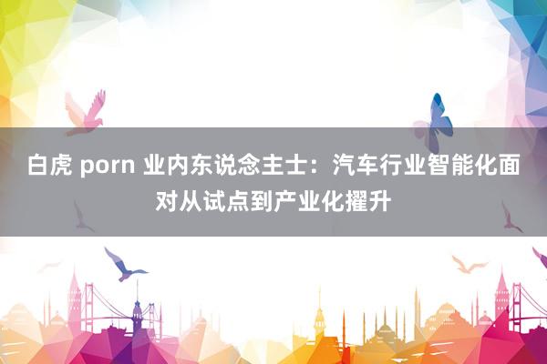 白虎 porn 业内东说念主士：汽车行业智能化面对从试点到产业化擢升