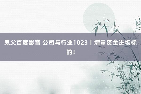 鬼父百度影音 公司与行业1023丨增量资金进场标的！