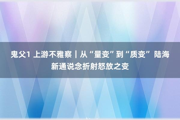 鬼父1 上游不雅察｜从“量变”到“质变” 陆海新通说念折射怒放之变