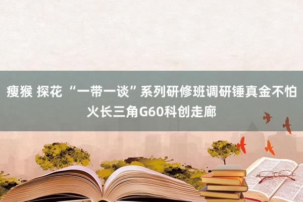 瘦猴 探花 “一带一谈”系列研修班调研锤真金不怕火长三角G60科创走廊