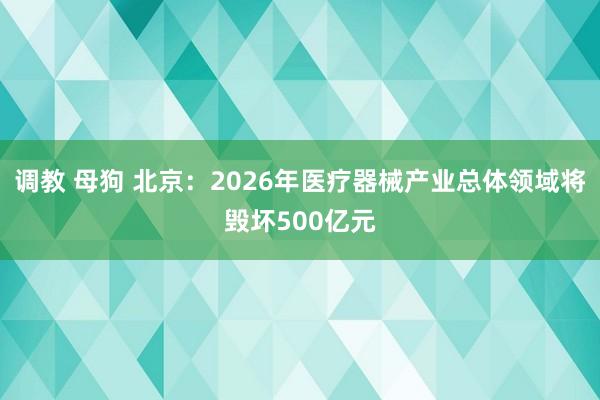 调教 母狗 北京：2026年医疗器械产业总体领域将毁坏500亿元