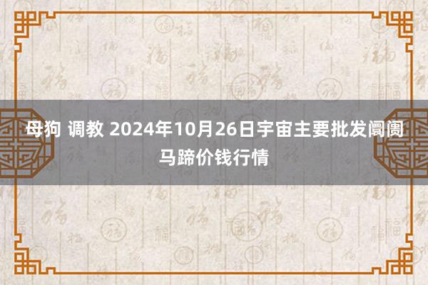 母狗 调教 2024年10月26日宇宙主要批发阛阓马蹄价钱行情