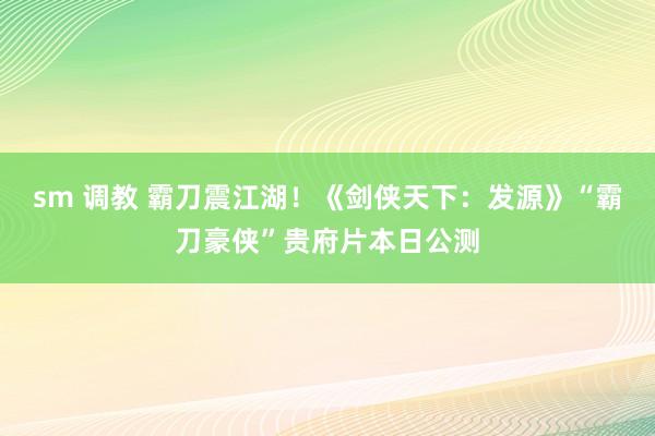 sm 调教 霸刀震江湖！《剑侠天下：发源》“霸刀豪侠”贵府片本日公测