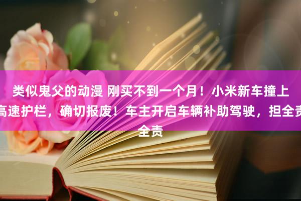 类似鬼父的动漫 刚买不到一个月！小米新车撞上高速护栏，确切报废！车主开启车辆补助驾驶，担全责