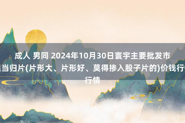 成人 男同 2024年10月30日寰宇主要批发市集当归片(片形大、片形好、莫得掺入股子片的)价钱行情