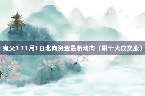 鬼父1 11月1日北向资金最新动向（附十大成交股）