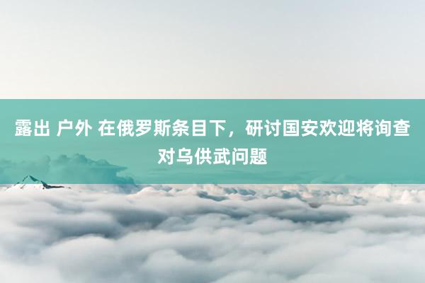 露出 户外 在俄罗斯条目下，研讨国安欢迎将询查对乌供武问题