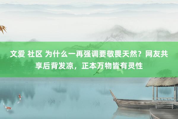 文爱 社区 为什么一再强调要敬畏天然？网友共享后背发凉，正本万物皆有灵性