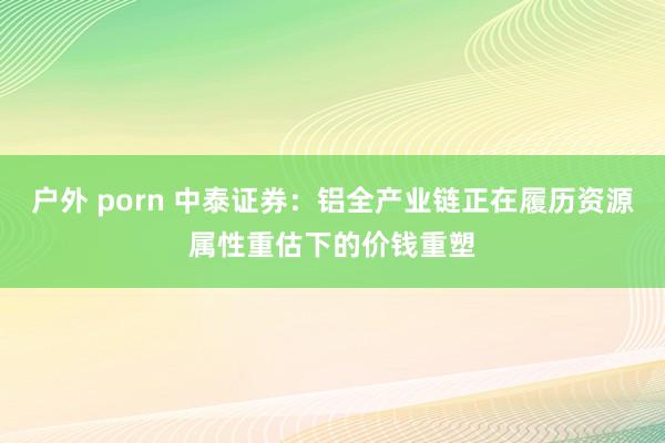 户外 porn 中泰证券：铝全产业链正在履历资源属性重估下的价钱重塑