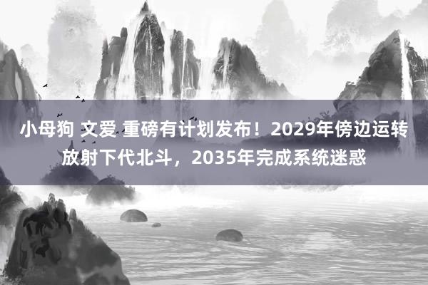 小母狗 文爱 重磅有计划发布！2029年傍边运转放射下代北斗，2035年完成系统迷惑