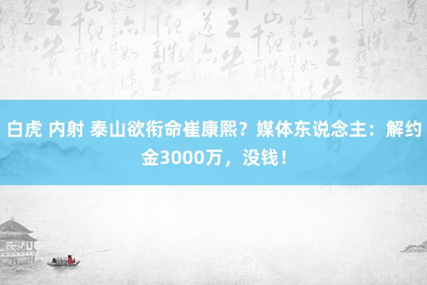 白虎 内射 泰山欲衔命崔康熙？媒体东说念主：解约金3000万，没钱！