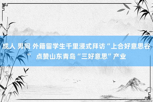 成人 男同 外籍留学生千里浸式拜访“上合好意思谷”  点赞山东青岛“三好意思”产业