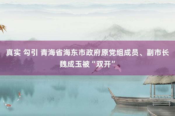 真实 勾引 青海省海东市政府原党组成员、副市长魏成玉被“双开”