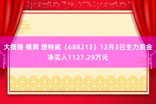 大摆锤 裸舞 想特威（688213）12月3日主力资金净买入1127.29万元