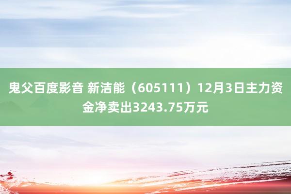 鬼父百度影音 新洁能（605111）12月3日主力资金净卖出3243.75万元