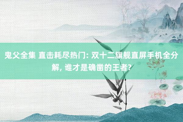 鬼父全集 直击耗尽热门: 双十二旗舰直屏手机全分解， 谁才是确凿的王者?