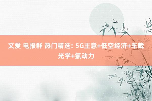 文爱 电报群 热门精选: 5G主意+低空经济+车载光学+氢动力