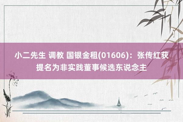 小二先生 调教 国银金租(01606)：张传红获提名为非实践董事候选东说念主