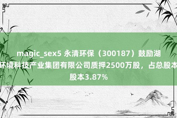 magic_sex5 永清环保（300187）鼓励湖南永清环境科技产业集团有限公司质押2500万股，占总股本3.87%