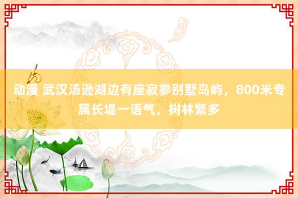 动漫 武汉汤逊湖边有座寂寥别墅岛屿，800米专属长堤一语气，树林繁多