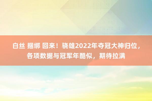 白丝 捆绑 回来！骁雄2022年夺冠大神归位，各项数据与冠军年酷似，期待拉满