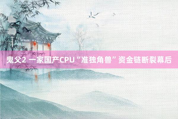 鬼父2 一家国产CPU“准独角兽”资金链断裂幕后