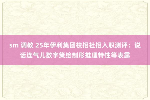 sm 调教 25年伊利集团校招社招入职测评：说话连气儿数字策绘制形推理特性等表露