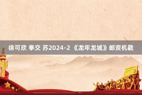 徐可欣 拳交 苏2024-2 《龙年龙城》邮资机戳