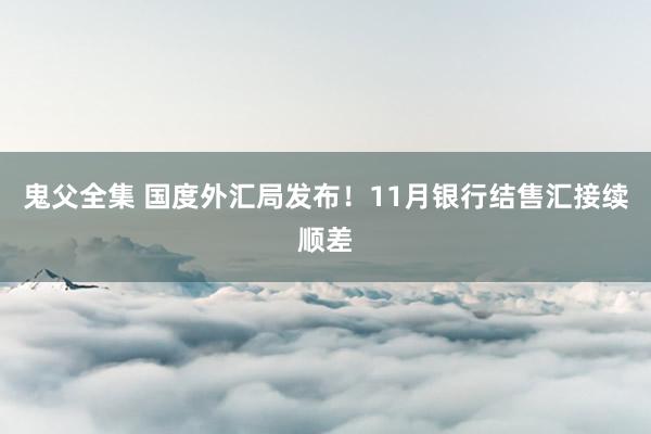 鬼父全集 国度外汇局发布！11月银行结售汇接续顺差