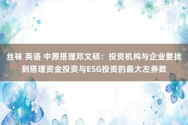 丝袜 英语 中原搭理邓文硕：投资机构与企业要找到搭理资金投资与ESG投资的最大左券数