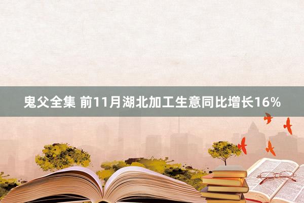 鬼父全集 前11月湖北加工生意同比增长16%