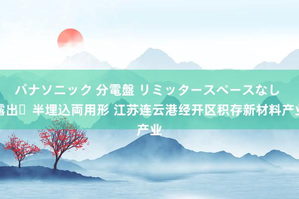 パナソニック 分電盤 リミッタースペースなし 露出・半埋込両用形 江苏连云港经开区积存新材料产业