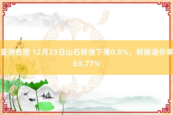 亚洲色图 12月23日山石转债下落0.8%，转股溢价率63.77%